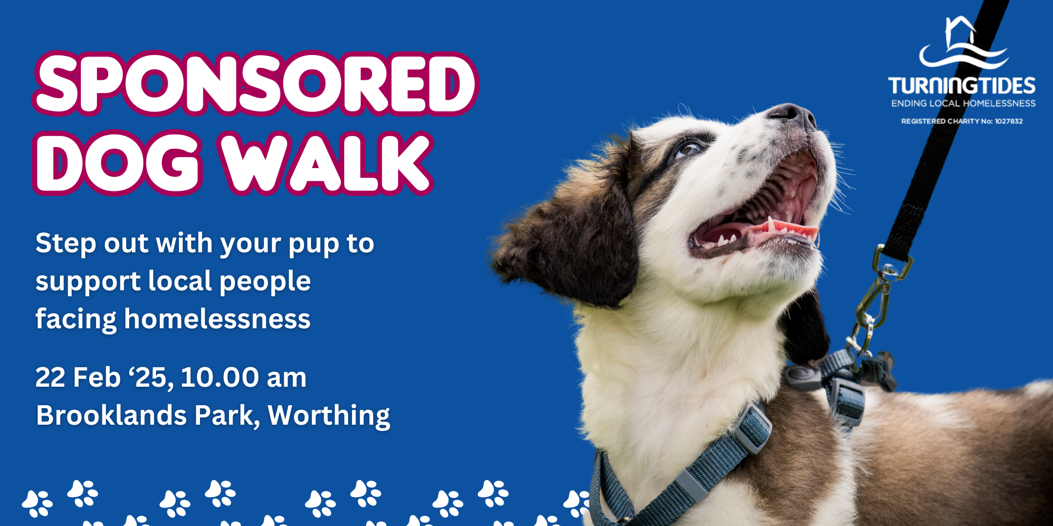 Sponsored Dog Walk - Turning Tides